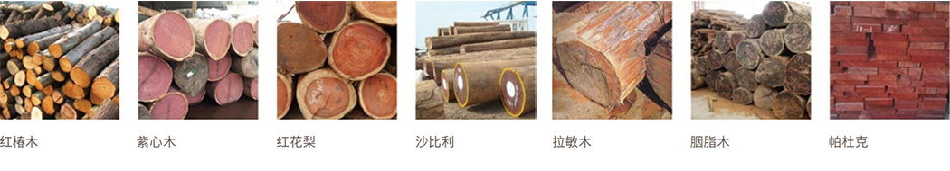 浙江和信玩具集團有限公司 浙江和信玩具集團有限公司